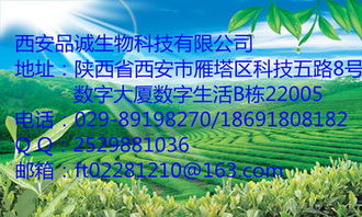 东革阿里与蕲艾制品 探寻优质草本产品的源头生产