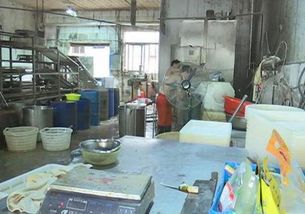 “持证”生产乱象 豆制品厂惊现“蕲艾蛆虫”？监管与自律的警示