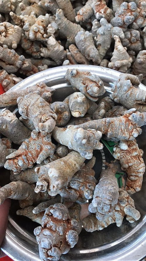 中国道地药材双璧 文山三七与蕲艾制品的品质传奇